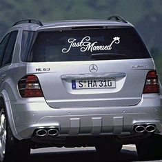 Mooie letters autoruit Dacal sticker